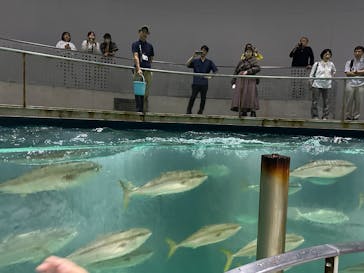 城崎マリンワールドに投稿された画像（2025/9/27）