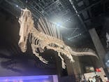 福井県立恐竜博物館に投稿された画像（2025/9/27）