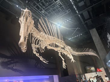 福井県立恐竜博物館に投稿された画像（2025/9/27）