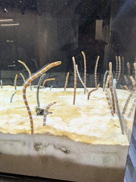 京都鉄道博物館×京都水族館に投稿された画像（2025/9/27）