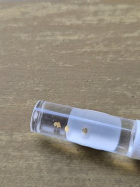 土肥金山に投稿された画像（2025/9/27）