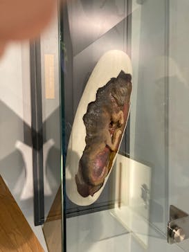 福井県立恐竜博物館に投稿された画像（2025/9/27）