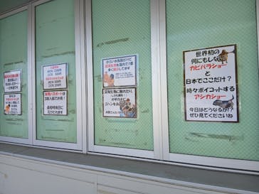 竹島水族館に投稿された画像（2025/9/27）