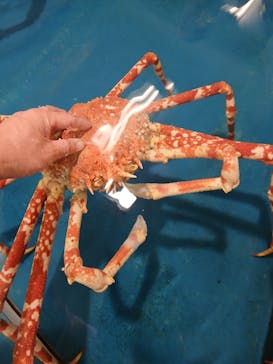 竹島水族館に投稿された画像（2025/9/27）