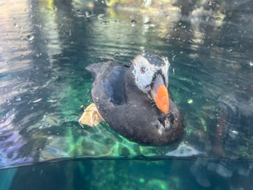 環境水族館アクアマリンふくしまに投稿された画像（2025/9/27）