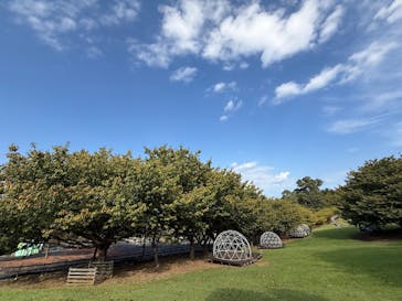 伊豆ぐらんぱる公園に投稿された画像（2025/9/27）