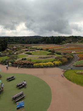 富士芝桜まつり(富士本栖湖リゾート)に投稿された画像（2025/9/27）