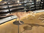 福井県立恐竜博物館に投稿された画像（2025/9/27）