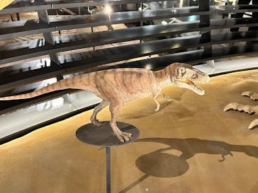 福井県立恐竜博物館に投稿された画像（2025/9/27）
