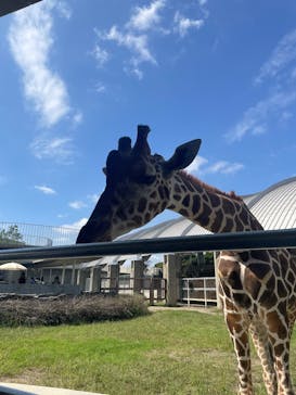 霞ケ浦 どうぶつとみんなのいえに投稿された画像（2025/9/27）