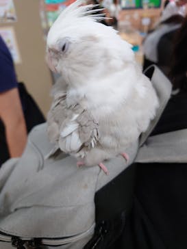 いきもの探検隊上尾に投稿された画像（2025/9/27）