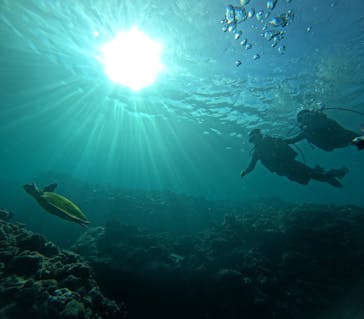 青の洞窟専門店　沖縄ダイビングショップ和に投稿された画像（2025/9/27）