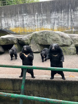 奥飛騨クマ牧場に投稿された画像（2025/9/27）