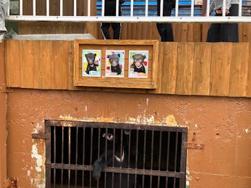 奥飛騨クマ牧場に投稿された画像（2025/9/27）