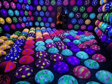 チームラボフォレスト 福岡 - SBI証券に投稿された画像（2025/9/27）