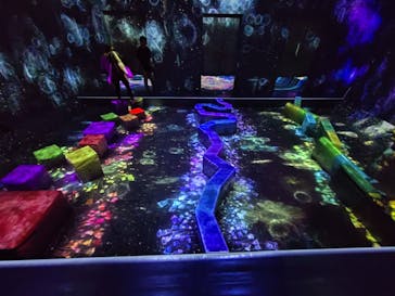 チームラボフォレスト 福岡 - SBI証券に投稿された画像（2025/9/27）