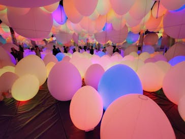 チームラボフォレスト 福岡 - SBI証券に投稿された画像（2025/9/27）