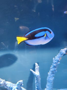 サンシャイン水族館に投稿された画像（2025/9/27）