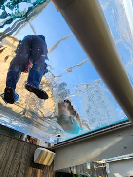 サンシャイン水族館に投稿された画像（2025/9/27）