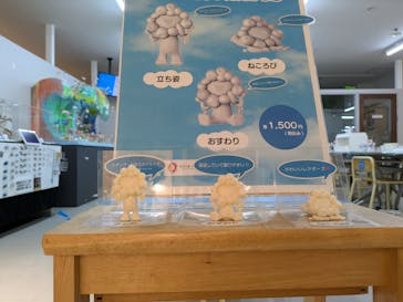 海洋堂ホビーランドに投稿された画像（2025/9/27）