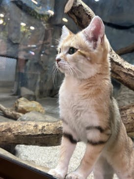 那須どうぶつ王国に投稿された画像（2025/9/27）