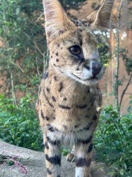 那須どうぶつ王国に投稿された画像（2025/9/27）