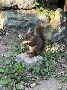 那須どうぶつ王国に投稿された画像（2025/9/27）