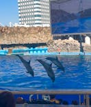 名古屋港水族館に投稿された画像（2025/9/27）
