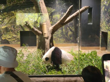 恩賜上野動物園に投稿された画像（2025/9/27）