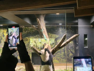 恩賜上野動物園に投稿された画像（2025/9/27）