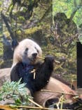 恩賜上野動物園に投稿された画像（2025/9/27）