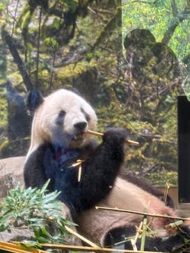 恩賜上野動物園に投稿された画像（2025/9/27）