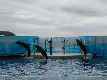 新江ノ島水族館に投稿された画像（2025/9/27）