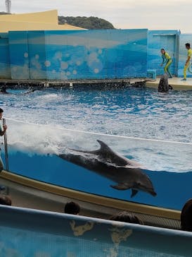 新江ノ島水族館に投稿された画像（2025/9/27）