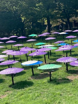 昭和記念公園セグウェイツアーに投稿された画像（2025/9/27）