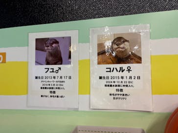 箱根園水族館に投稿された画像（2025/9/27）