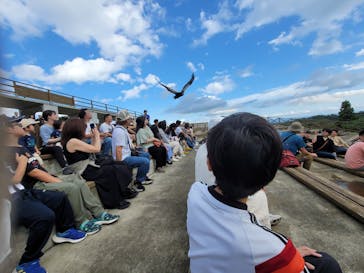 那須どうぶつ王国に投稿された画像（2025/9/27）