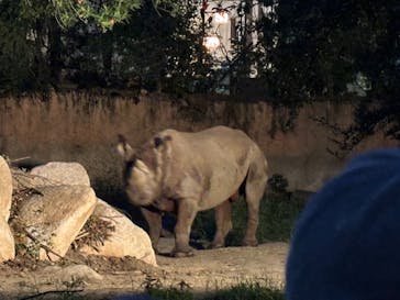 天王寺動物園に投稿された画像（2025/9/27）