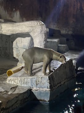 天王寺動物園に投稿された画像（2025/9/27）