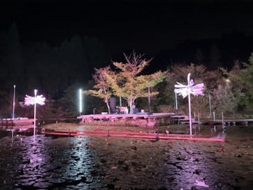 神戸六甲ミーツ・アート2025 beyondに投稿された画像（2025/9/27）