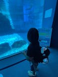 名古屋港水族館に投稿された画像（2025/9/27）