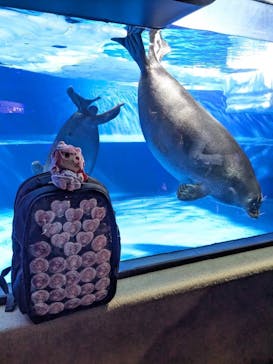 サンシャイン水族館に投稿された画像（2025/9/27）