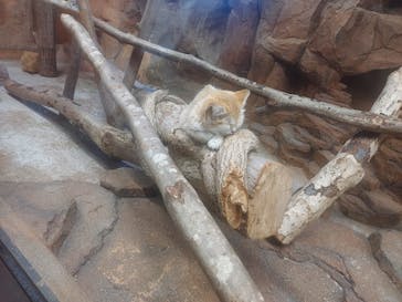 那須どうぶつ王国に投稿された画像（2025/9/27）