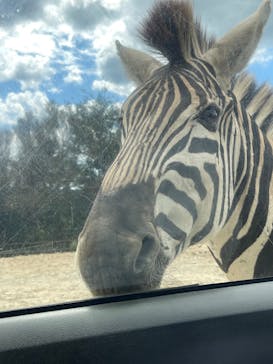 東北サファリパークに投稿された画像（2025/9/27）