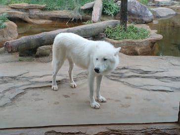 那須どうぶつ王国に投稿された画像（2025/9/27）
