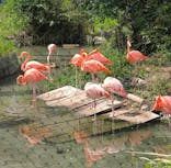 名古屋市東山動植物園に投稿された画像（2025/9/27）