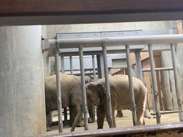 名古屋市東山動植物園に投稿された画像（2025/9/27）