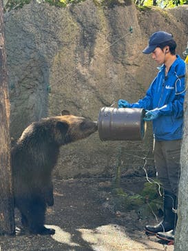 のぼりべつクマ牧場に投稿された画像（2025/9/27）
