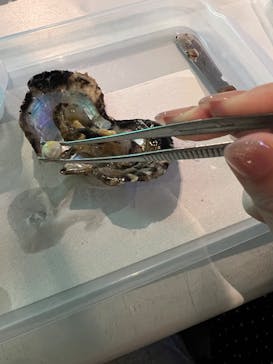 しながわ水族館に投稿された画像（2025/9/27）