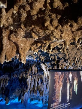 おきなわワールドに投稿された画像（2025/9/27）